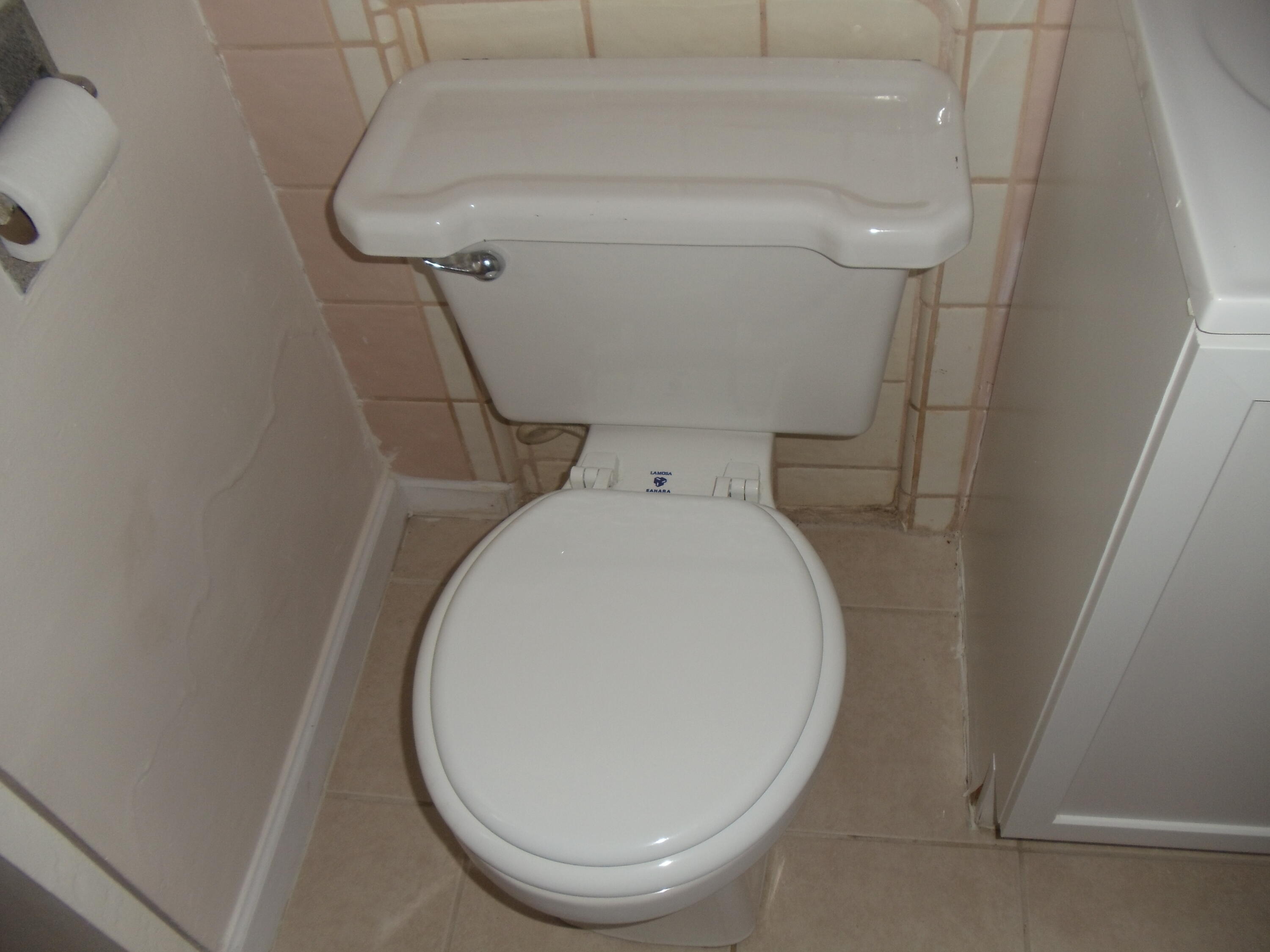 45153 Date Avenue Lancaster, CA 93534 - Photo 13 of 22 a close view of a toilet in a bathroom