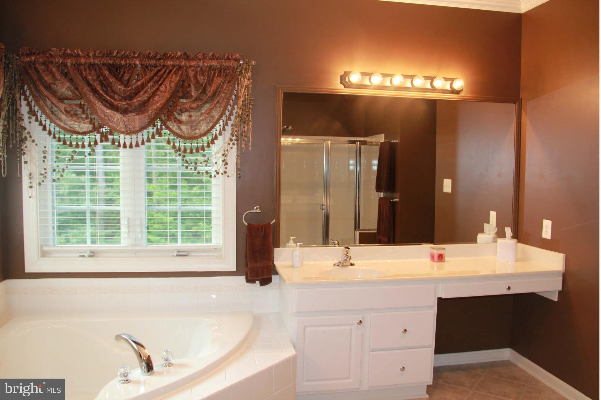 10809 Catron Road Perry Hall, MD 21128 - Photo 20 of 30 a bathroom with a sink a large mirror and a bathtub next to a window
