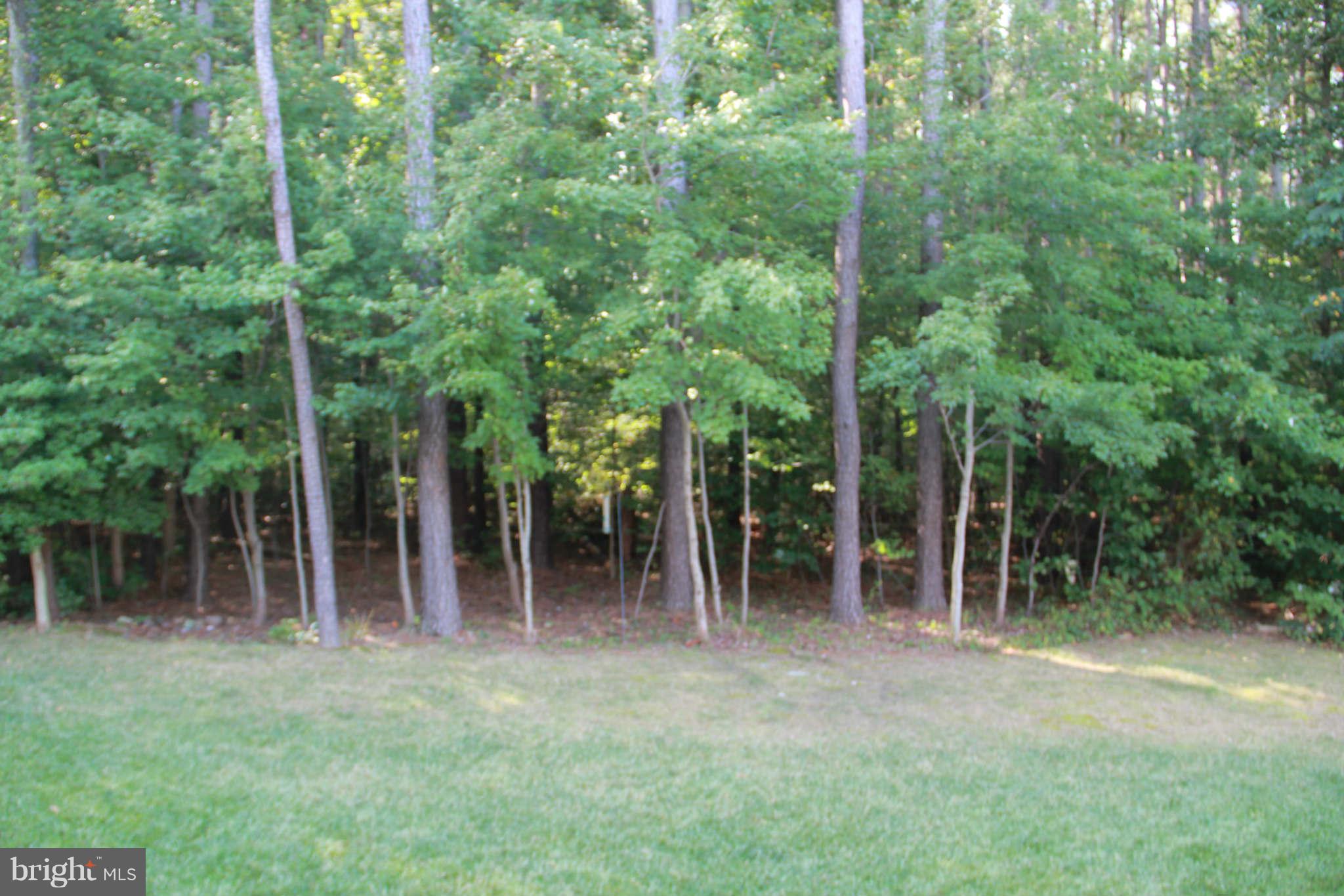 10809 Catron Road Perry Hall, MD 21128 - Photo 4 of 30 a view of outdoor space and yard