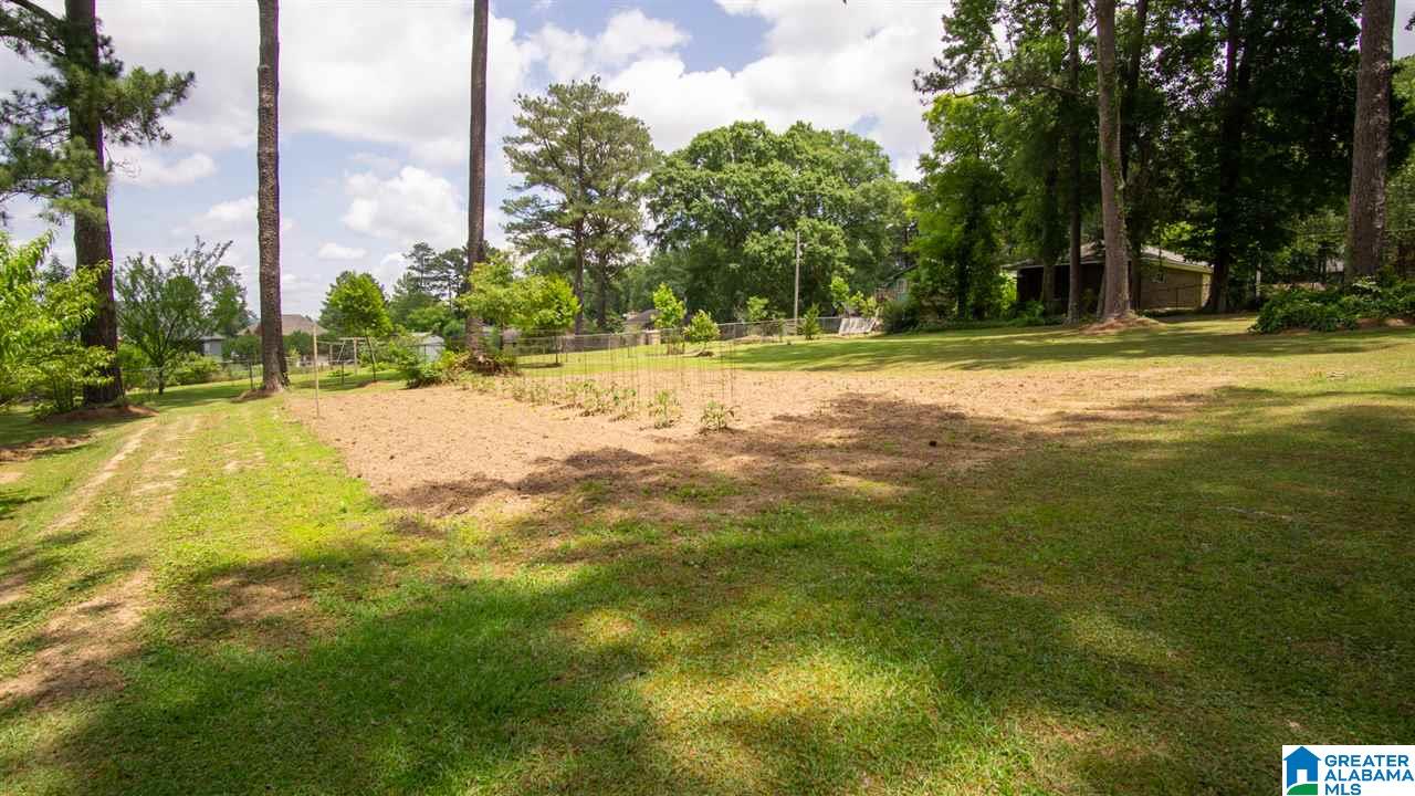 1313 Reds Road Bessemer, AL 35022 - Photo 39 of 44