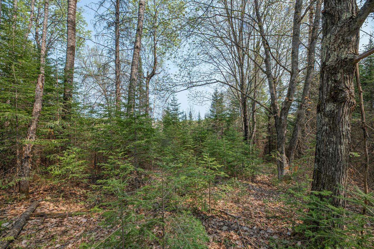 On Frontier Road Presque Isle, WI 54557 - Photo 6 of 42 Gallery Image 6