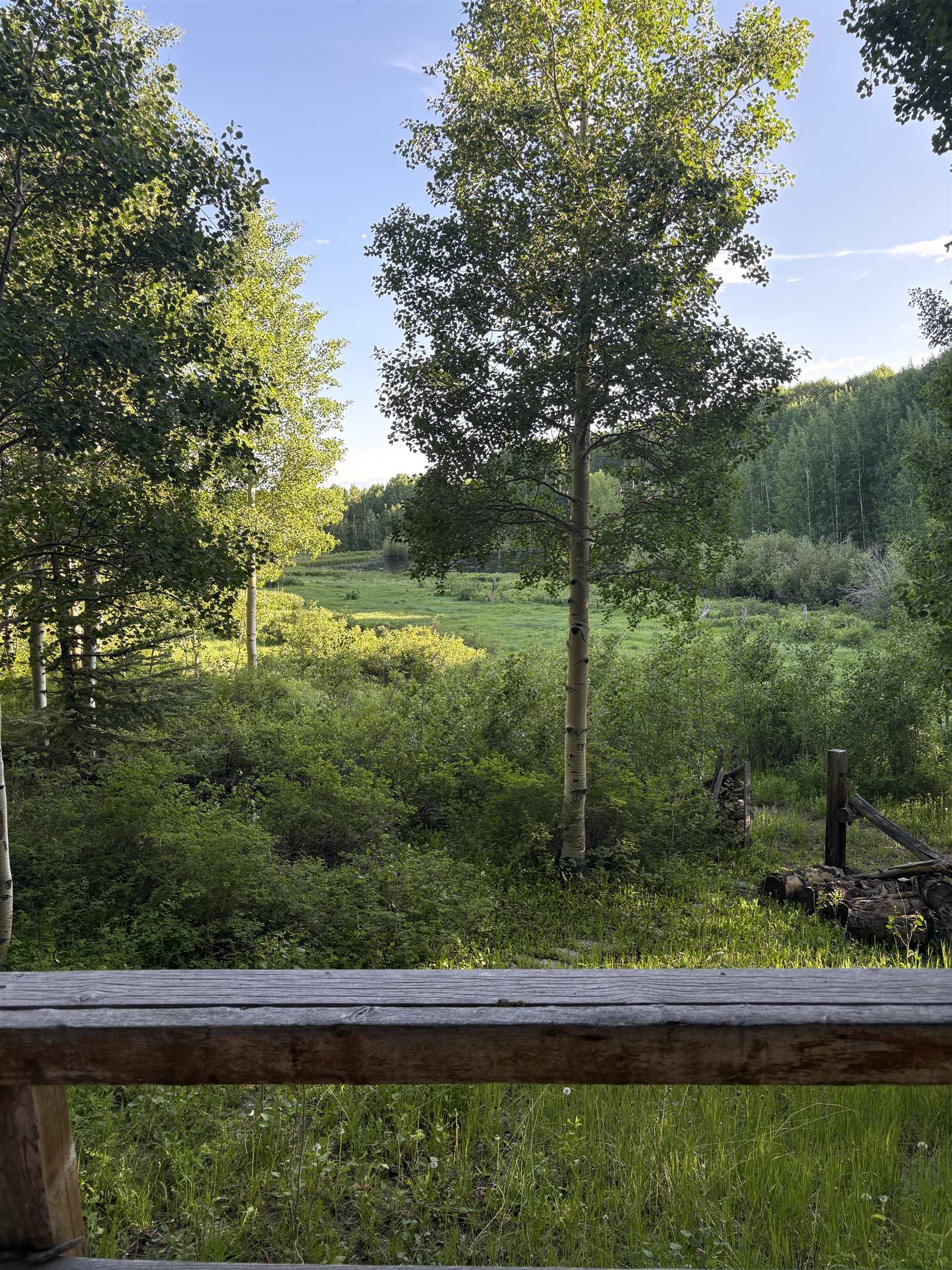 37081 Roatcap Road Paonia, CO 81428 - Photo 17 of 19