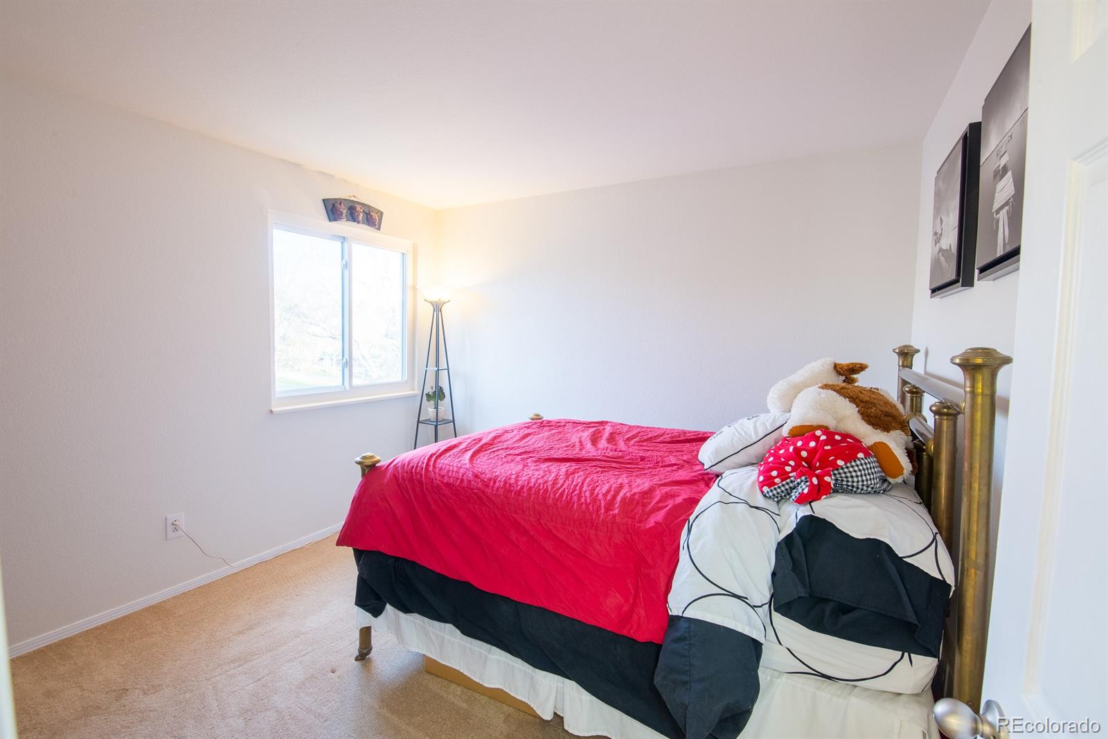 6834 Amherst Court Highlands Ranch, CO 80130 - Photo 15 of 30 Gallery Image 15