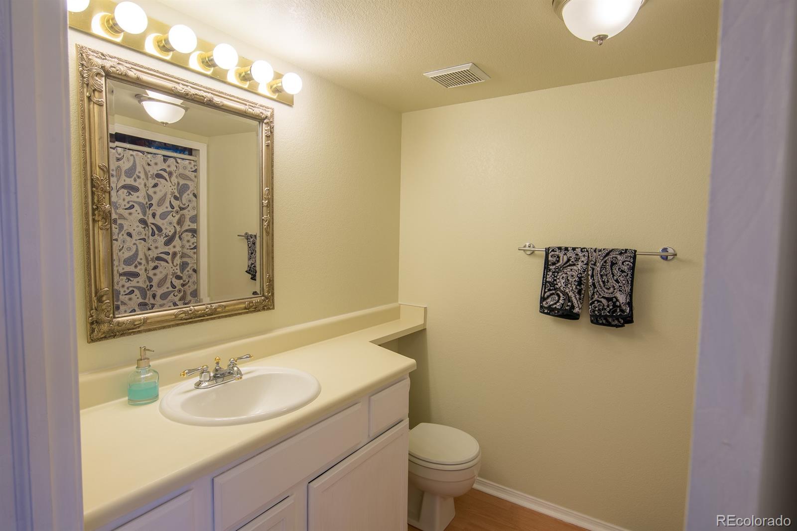 6834 Amherst Court Highlands Ranch, CO 80130 - Photo 9 of 30 Gallery Image 9