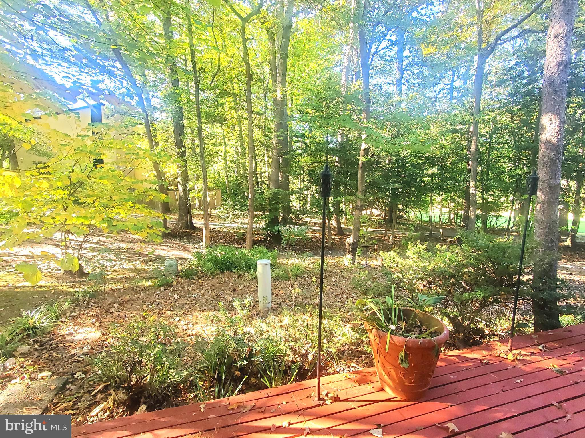 11632 Newbridge Court Reston, VA 20191 - Photo 3 of 39 Backs to Wooded Common Area!