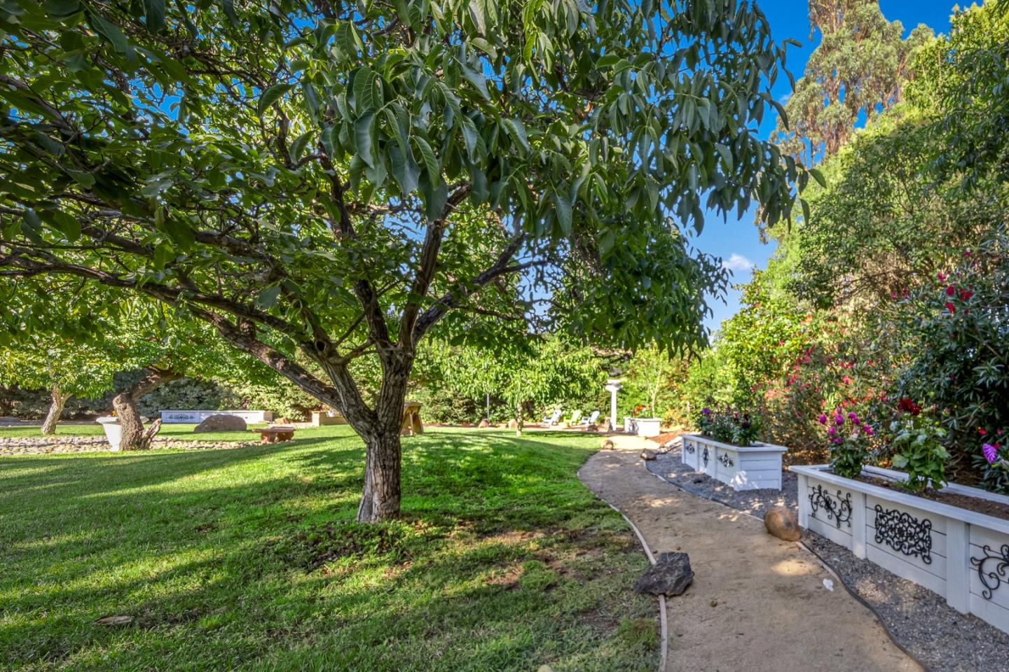 1980 Pear Drive Morgan Hill, CA 95037 - Photo 60 of 100 a big yard with lots of green space and trees