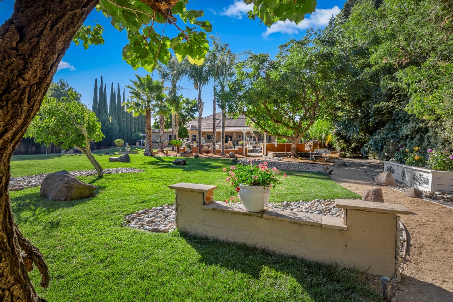 1980 Pear Drive Morgan Hill, CA 95037 - Photo 63 of 100 a view of a garden with plants and a fountain