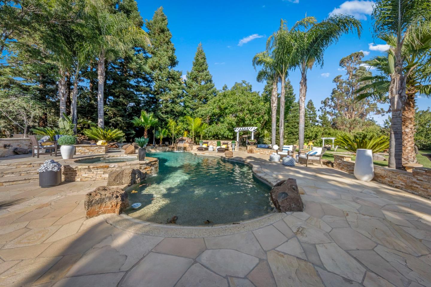 1980 Pear Drive Morgan Hill, CA 95037 - Photo 67 of 100 a view of a swimming pool with a lawn chairs and palm trees