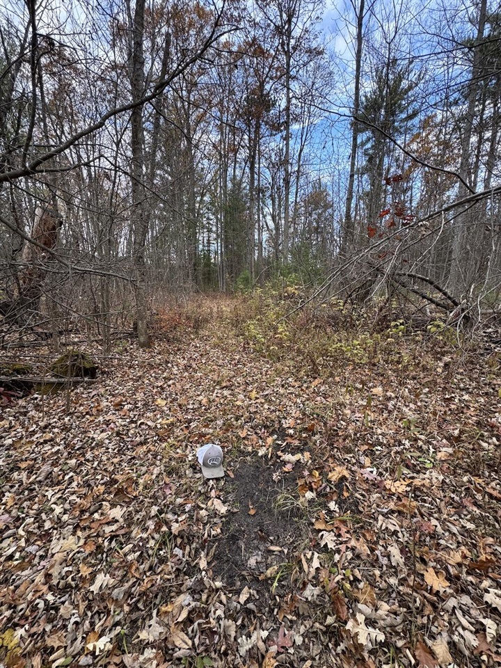4335 Kings Corner Road Glennie, MI 48737 - Photo 59 of 90