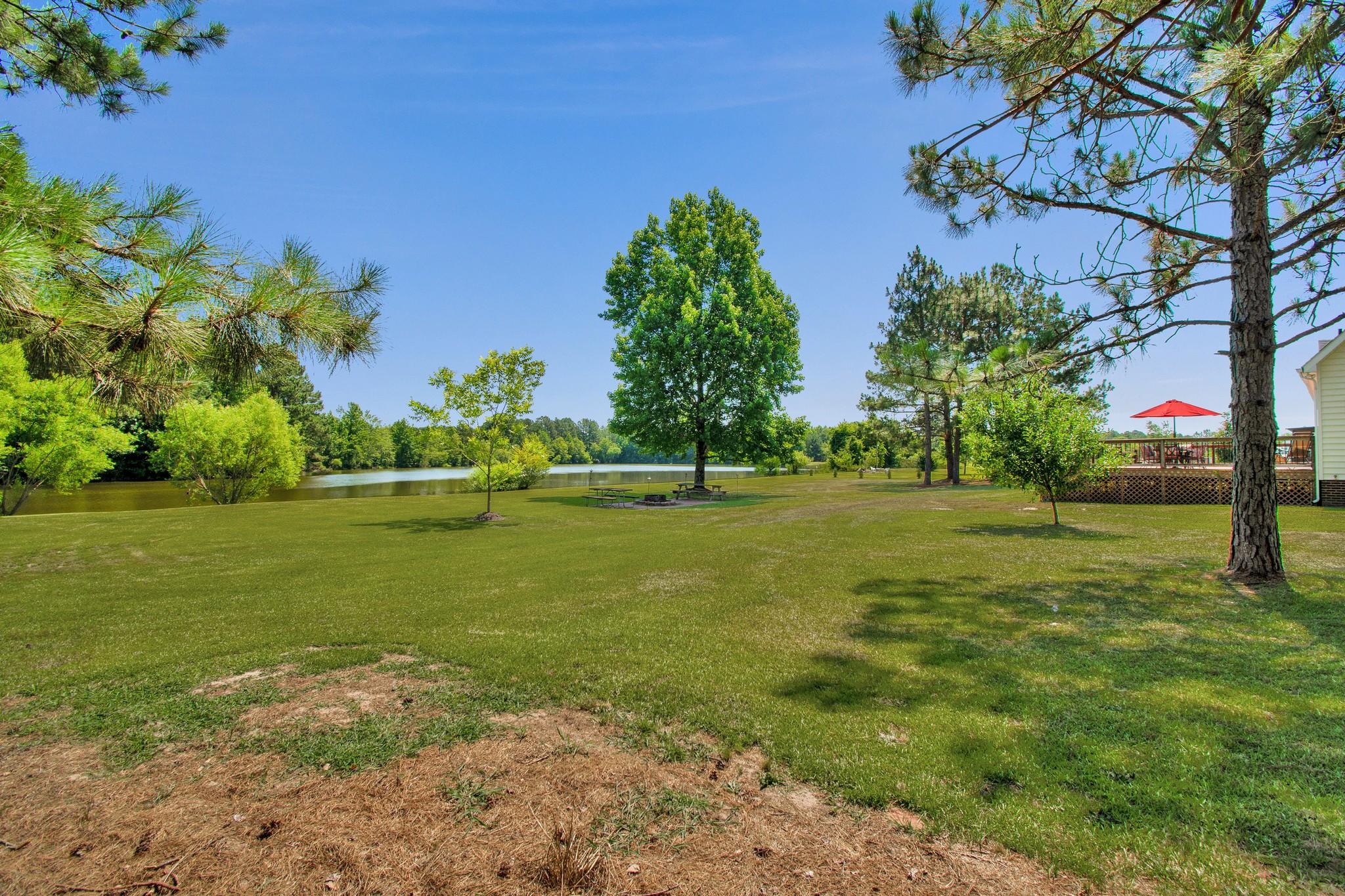 204 North Cromwell Road Savannah, GA 31410 - Photo 5 of 40 4609 Lobelia Rd (41 of 42)