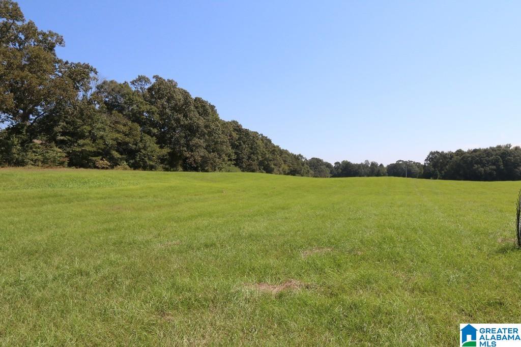 0 Wilson Road, Unit 1 Clanton, AL 35045 - Photo 2 of 4