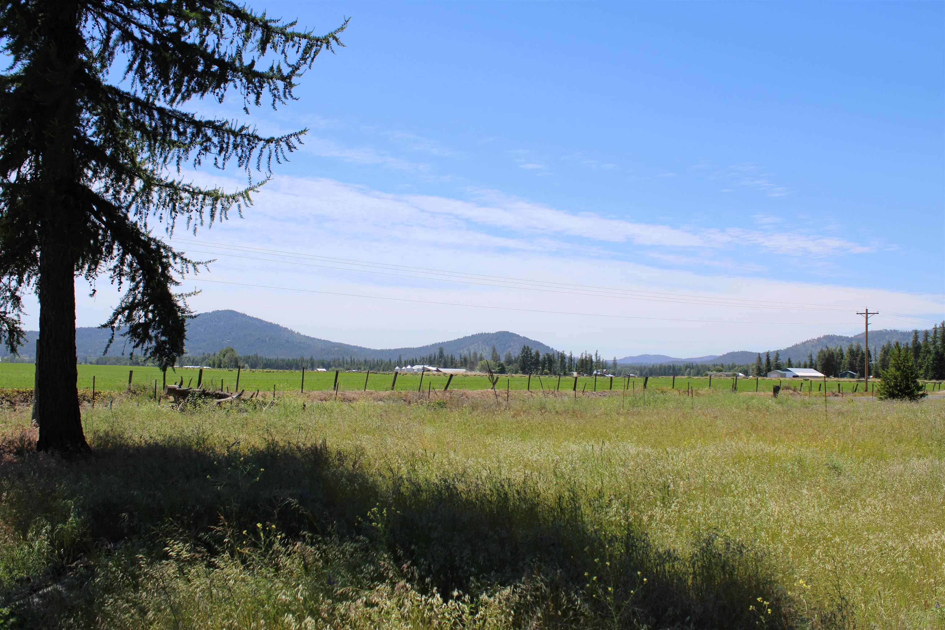 Gibson-dahl West Rd Clayton Wa 99110 Road Clayton, WA 99110 - Photo 7 of 13
