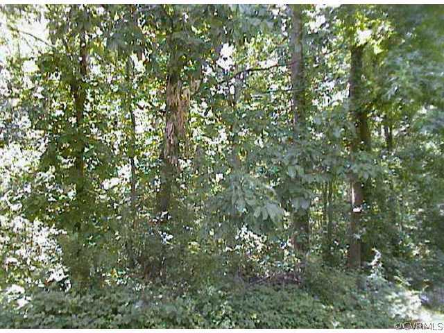 a view of a tree