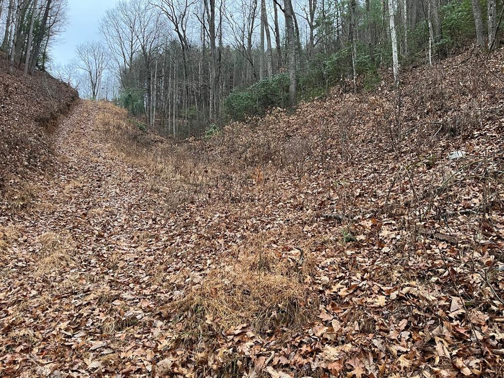 Tbd Burrell Mountain Road Murphy, NC 28906 - Photo 24 of 28