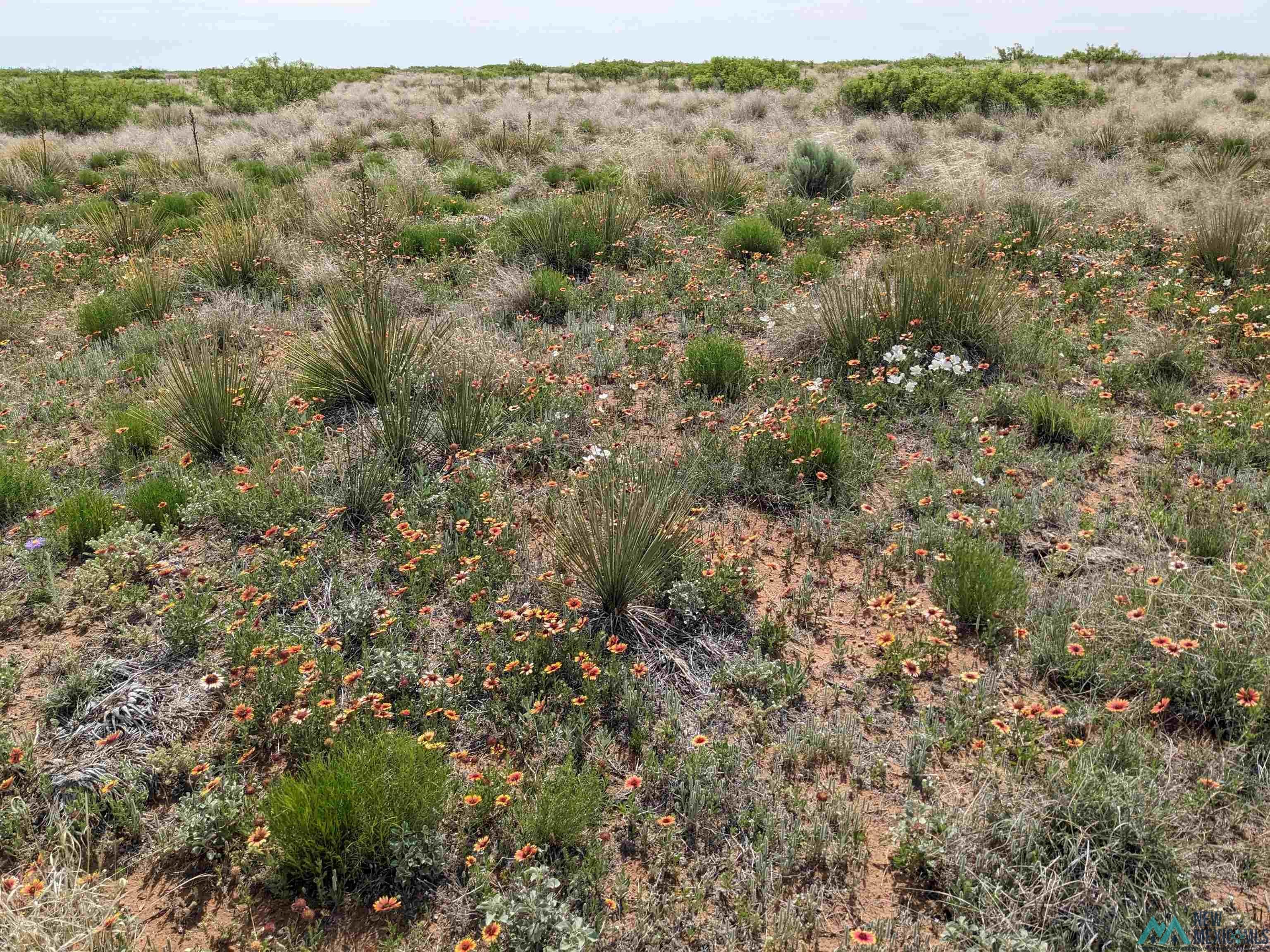 0 Llauds Road Roswell, NM 88201 - Photo 6 of 7 Bird's eye view