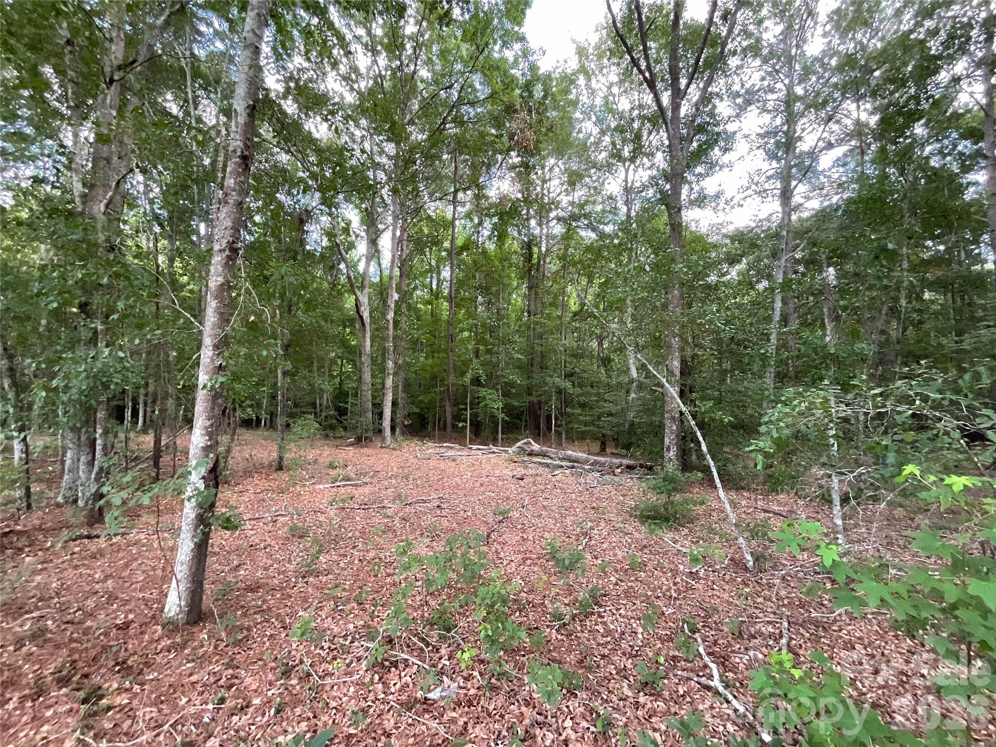 809 Campbell Road Jefferson, SC 29718 - Photo 14 of 26