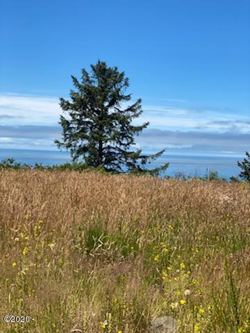 54100 South Beach Road Neskowin, OR 97149 - Photo 3 of 5 IMG_8698