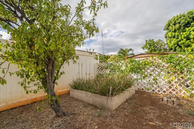 a view of a yard with plants and trees