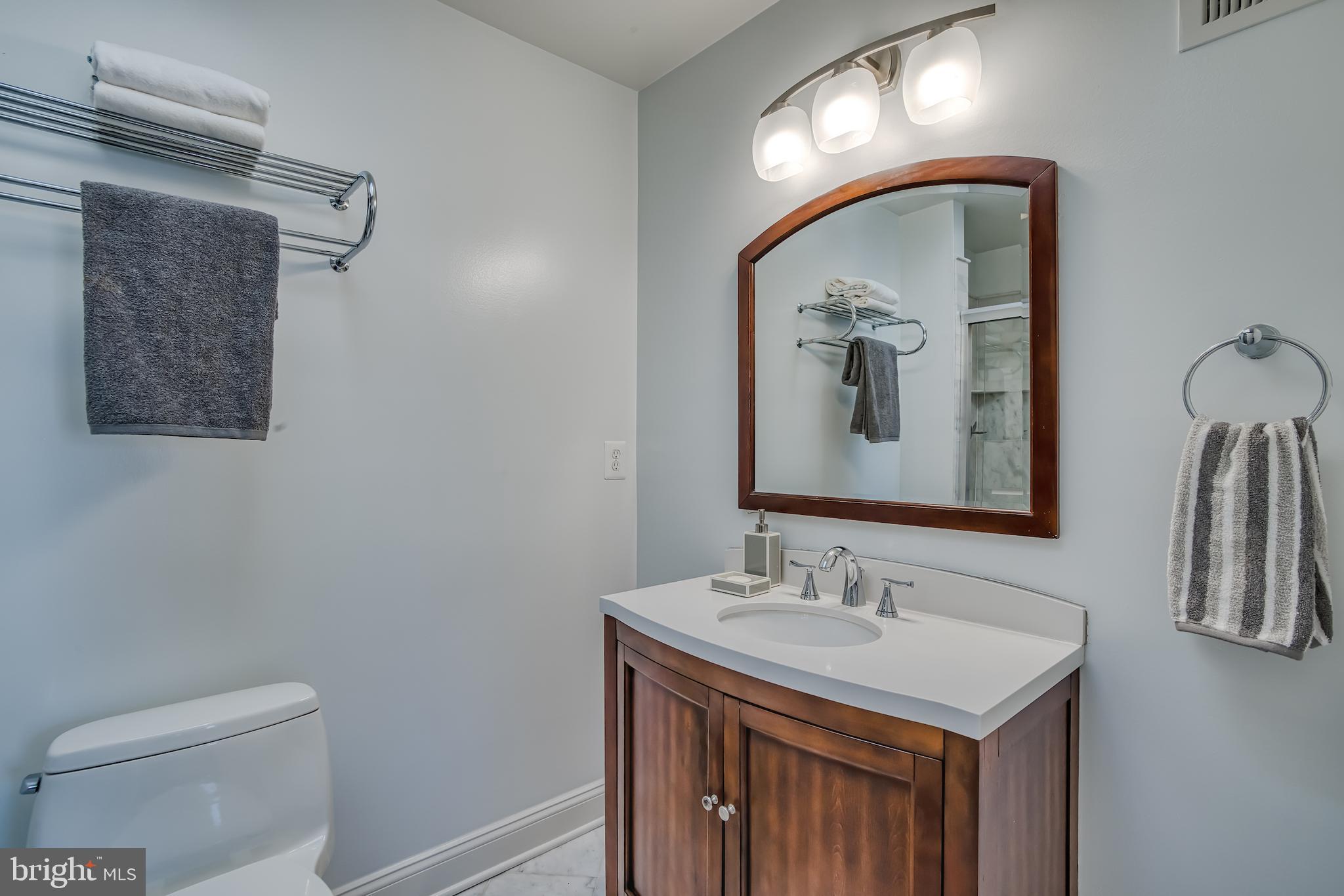 237 16th Street Southeast Washington, DC 20003 - Photo 24 of 47 Ensuite bath