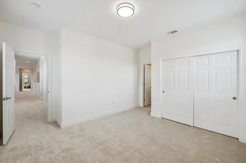 a view of a large garden with plants and large trees