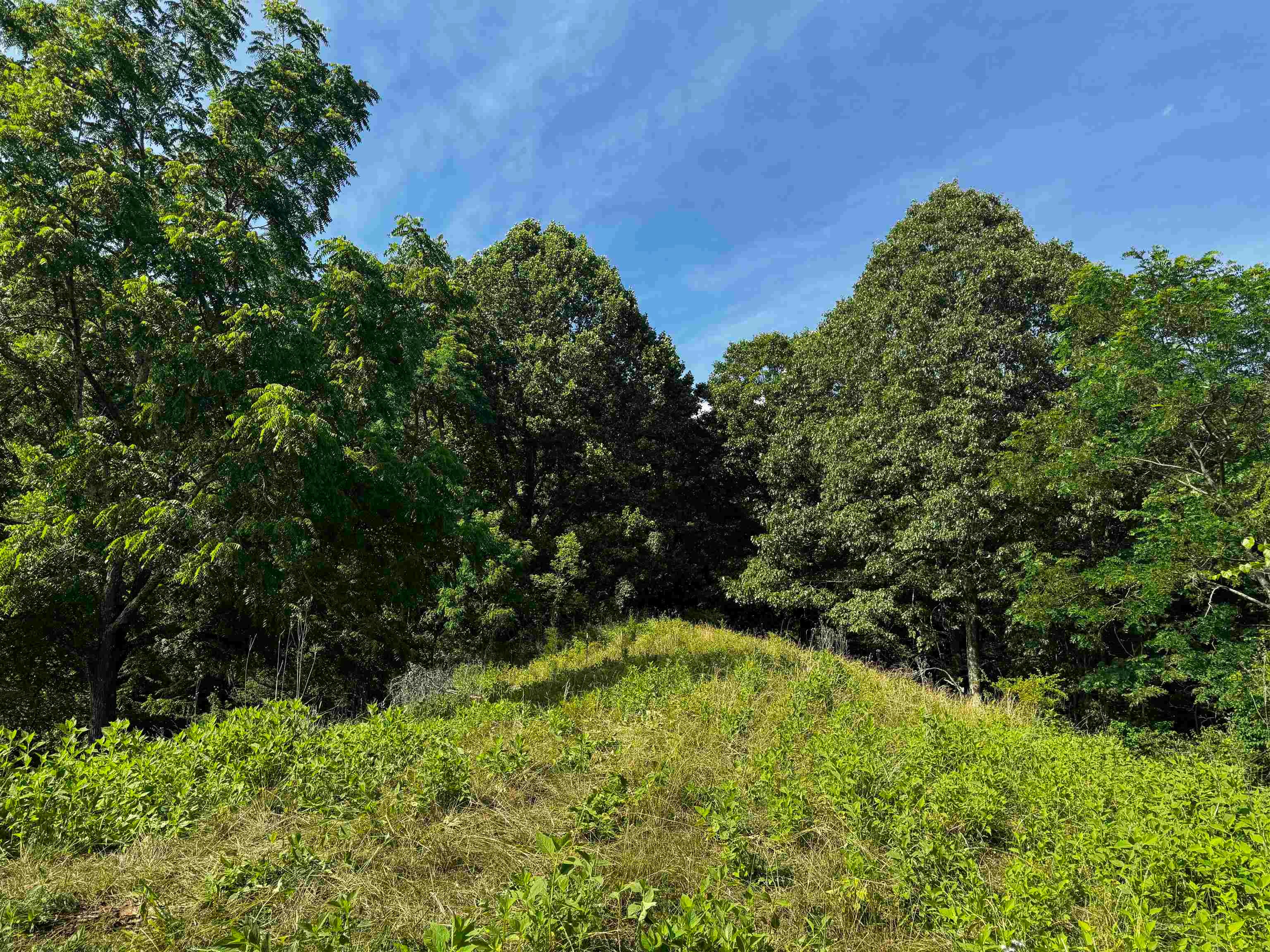 Tbd Laurel Springs Road Newport, VA 24128 - Photo 5 of 8 Gallery Image 5