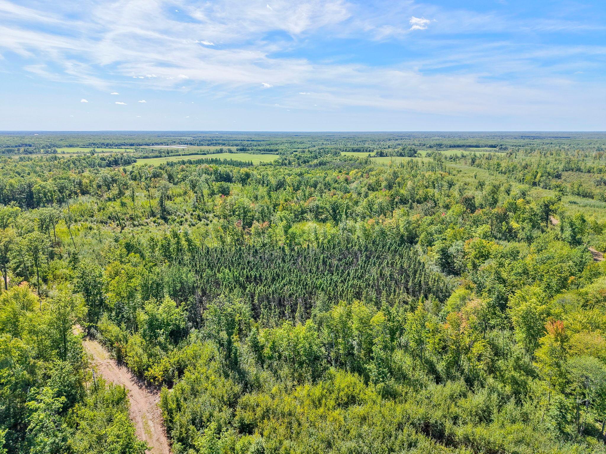 Xxx Fleming Logging Road Hinckley, MN 55037 - Photo 43 of 87 Gallery Image 43