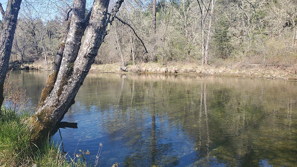 4750 Waldo Road Cave Junction, OR 97523 - Photo 2 of 22 2