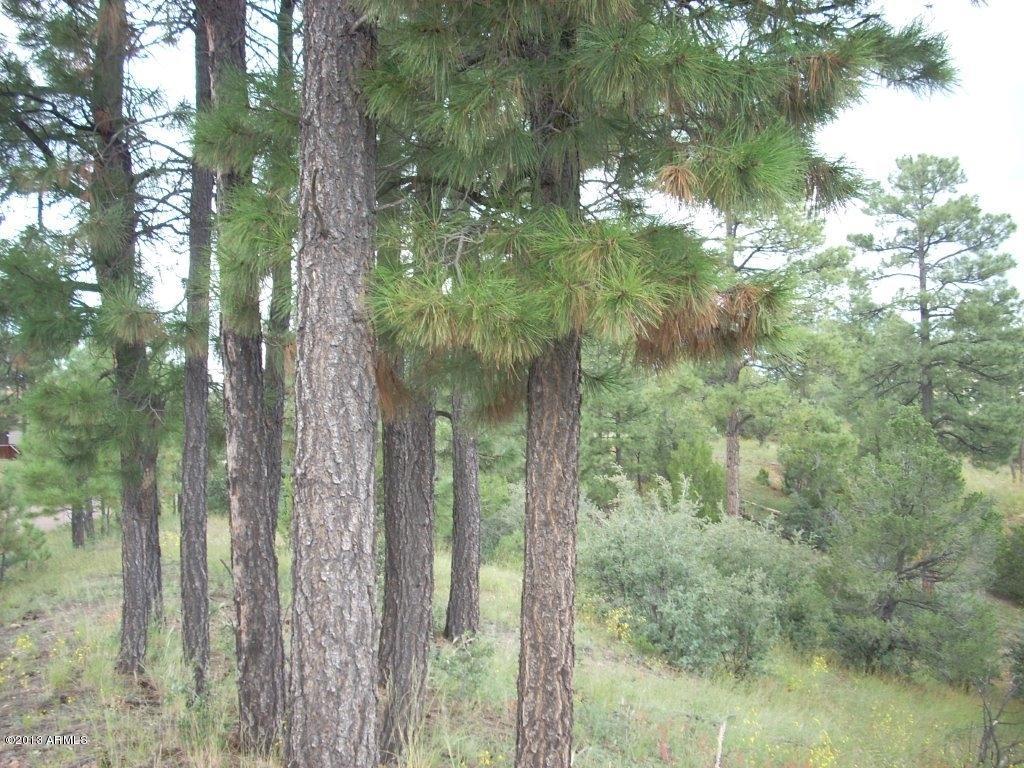2893 Cedar Ridge Drive, Unit 145 Overgaard, AZ 85933 - Photo 1 of 14 DSCN4555