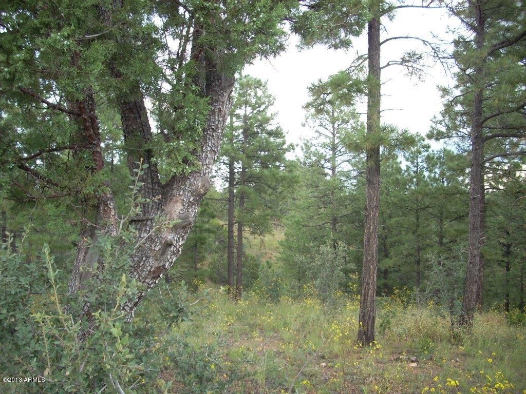2893 Cedar Ridge Drive, Unit 145 Overgaard, AZ 85933 - Photo 11 of 14 DSCN4565