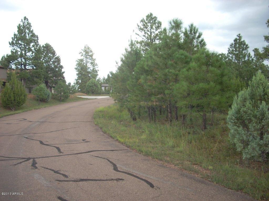 2893 Cedar Ridge Drive, Unit 145 Overgaard, AZ 85933 - Photo 12 of 14 DSCN4566