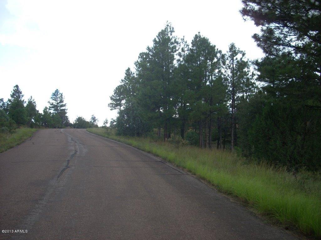 2893 Cedar Ridge Drive, Unit 145 Overgaard, AZ 85933 - Photo 13 of 14 DSCN4567