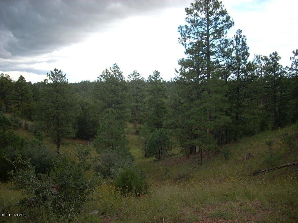 2893 Cedar Ridge Drive, Unit 145 Overgaard, AZ 85933 - Photo 2 of 14 DSCN4556