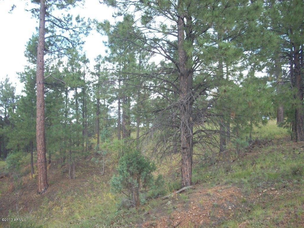 2893 Cedar Ridge Drive, Unit 145 Overgaard, AZ 85933 - Photo 3 of 14 DSCN4557