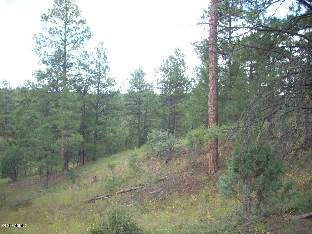 2893 Cedar Ridge Drive, Unit 145 Overgaard, AZ 85933 - Photo 4 of 14 DSCN4558