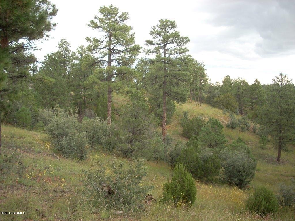 2893 Cedar Ridge Drive, Unit 145 Overgaard, AZ 85933 - Photo 5 of 14 DSCN4559