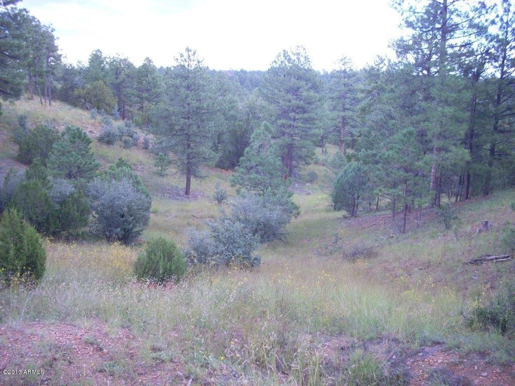 2893 Cedar Ridge Drive, Unit 145 Overgaard, AZ 85933 - Photo 6 of 14 DSCN4560