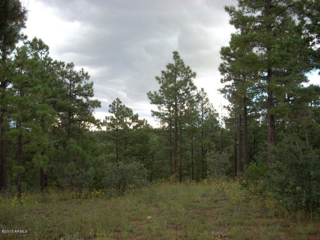 2893 Cedar Ridge Drive, Unit 145 Overgaard, AZ 85933 - Photo 9 of 14 DSCN4563