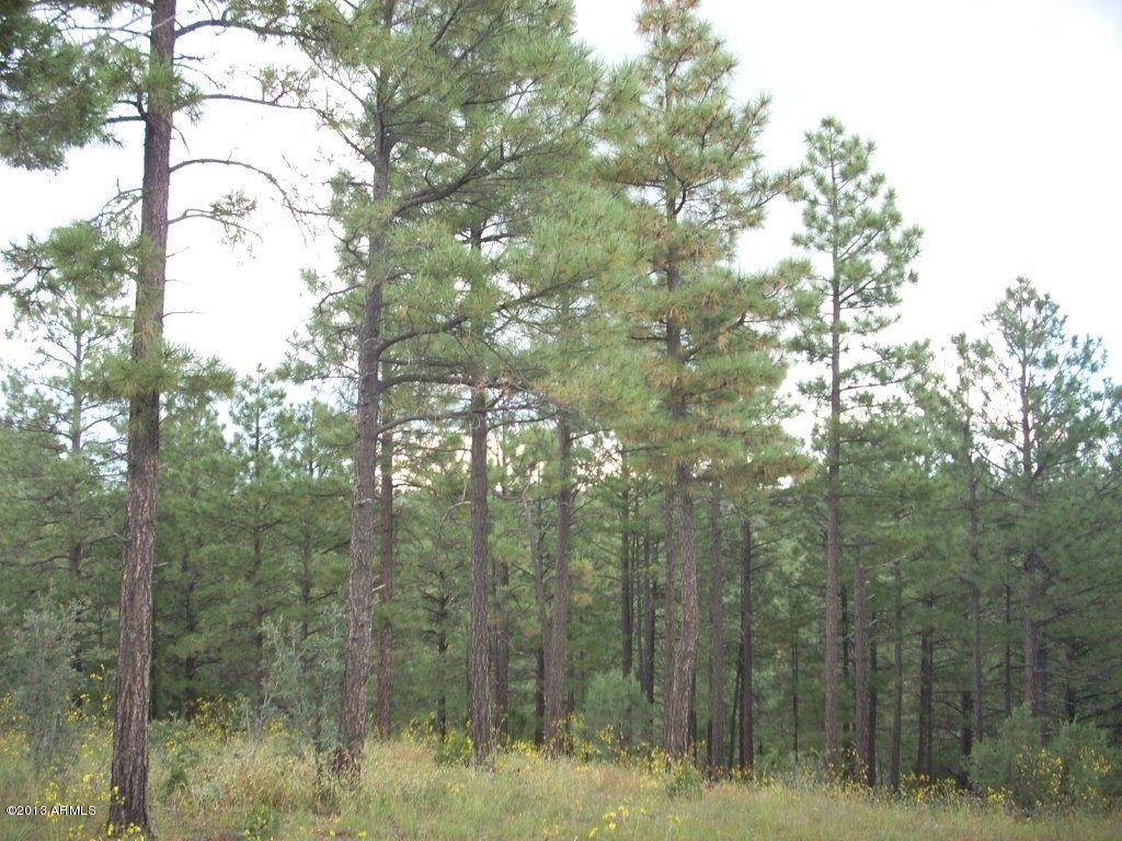 2893 Cedar Ridge Drive, Unit 145 Overgaard, AZ 85933 - Photo 10 of 14 DSCN4564