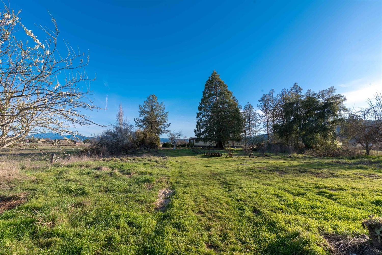 4201 Grant Road Central Point, OR 97502 - Photo 13 of 21 Additional Photo