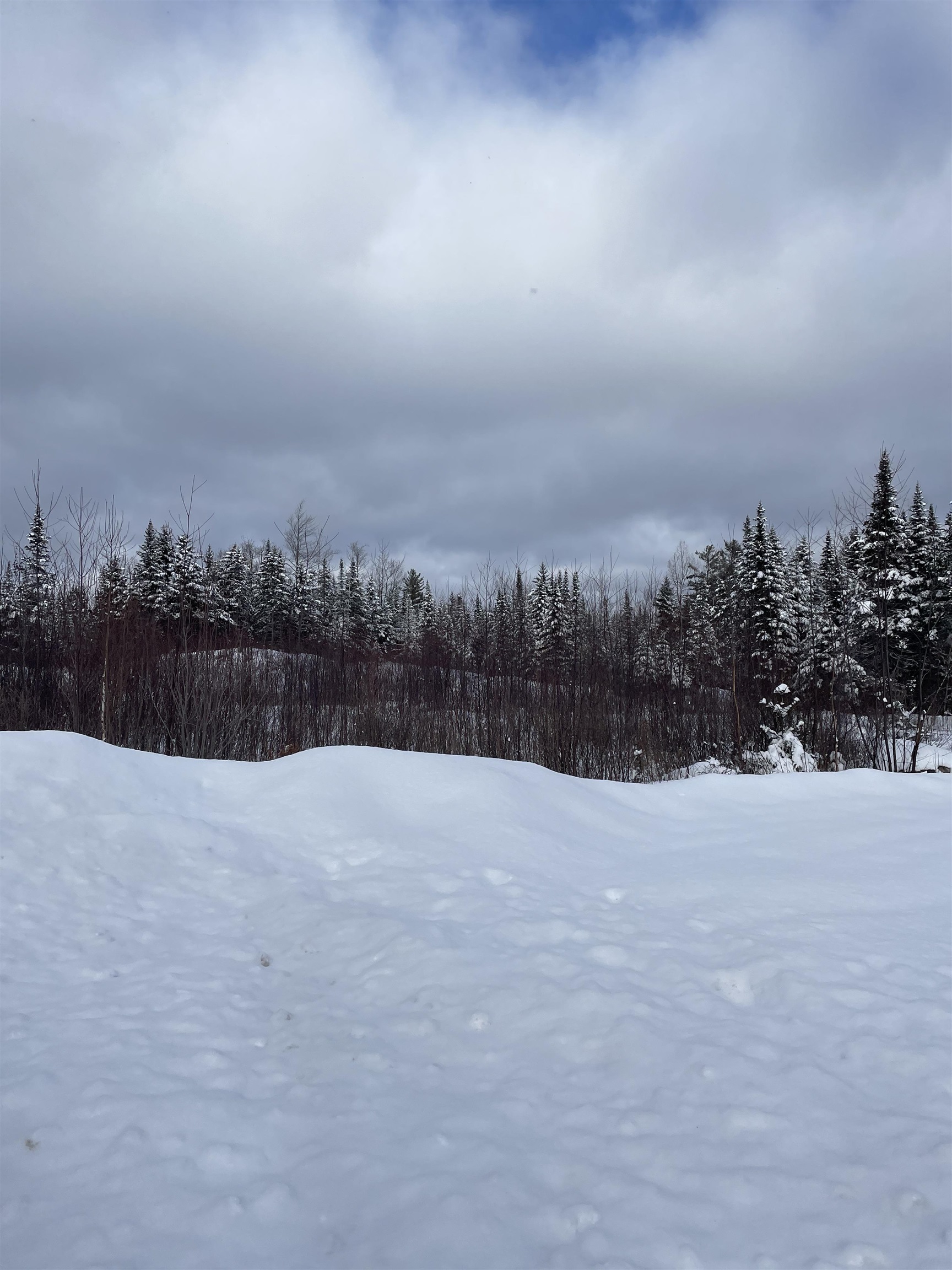 Loon Road, Unit 7 Berlin, NH 03570 - Photo 4 of 14