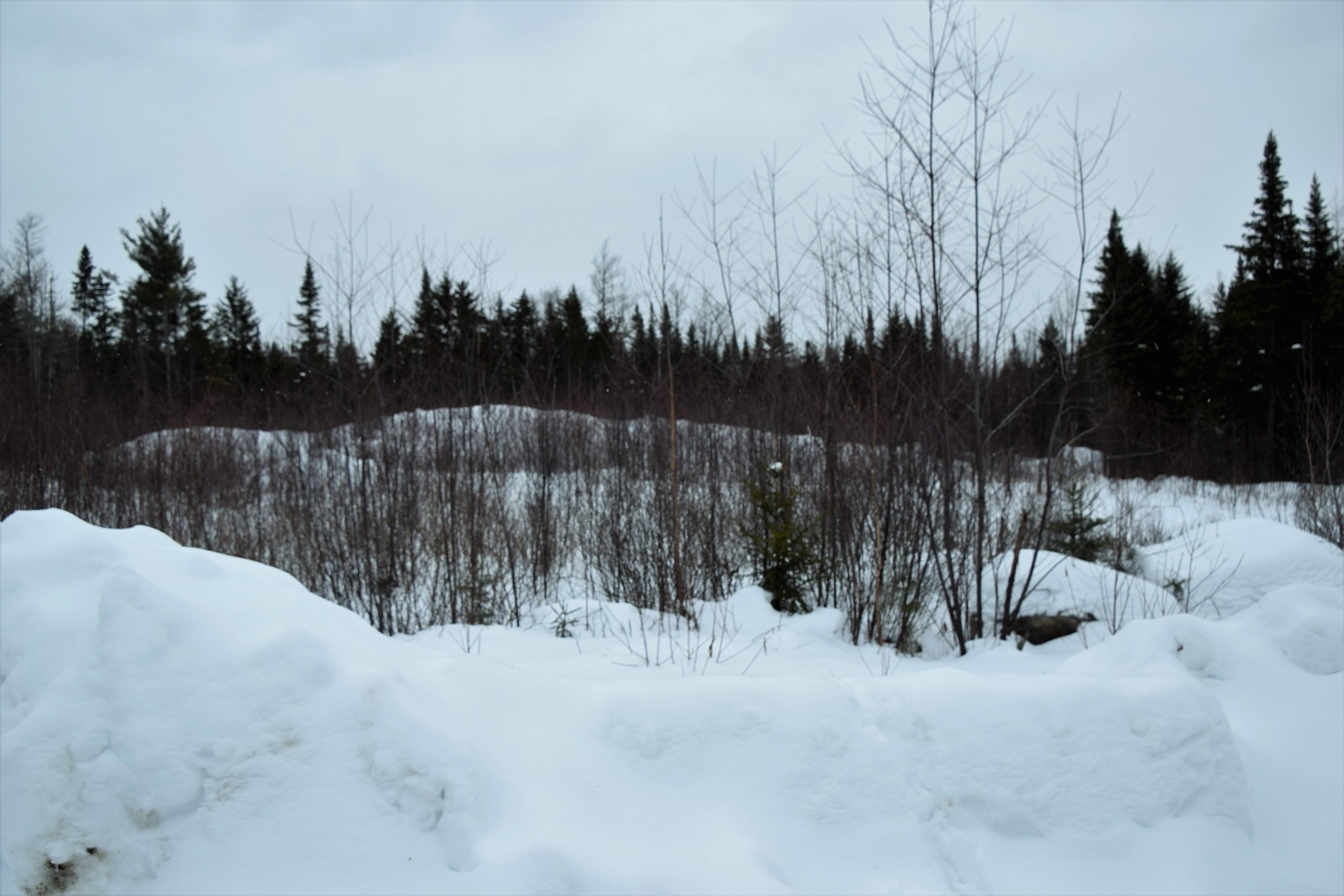 Loon Road, Unit 7 Berlin, NH 03570 - Photo 5 of 14