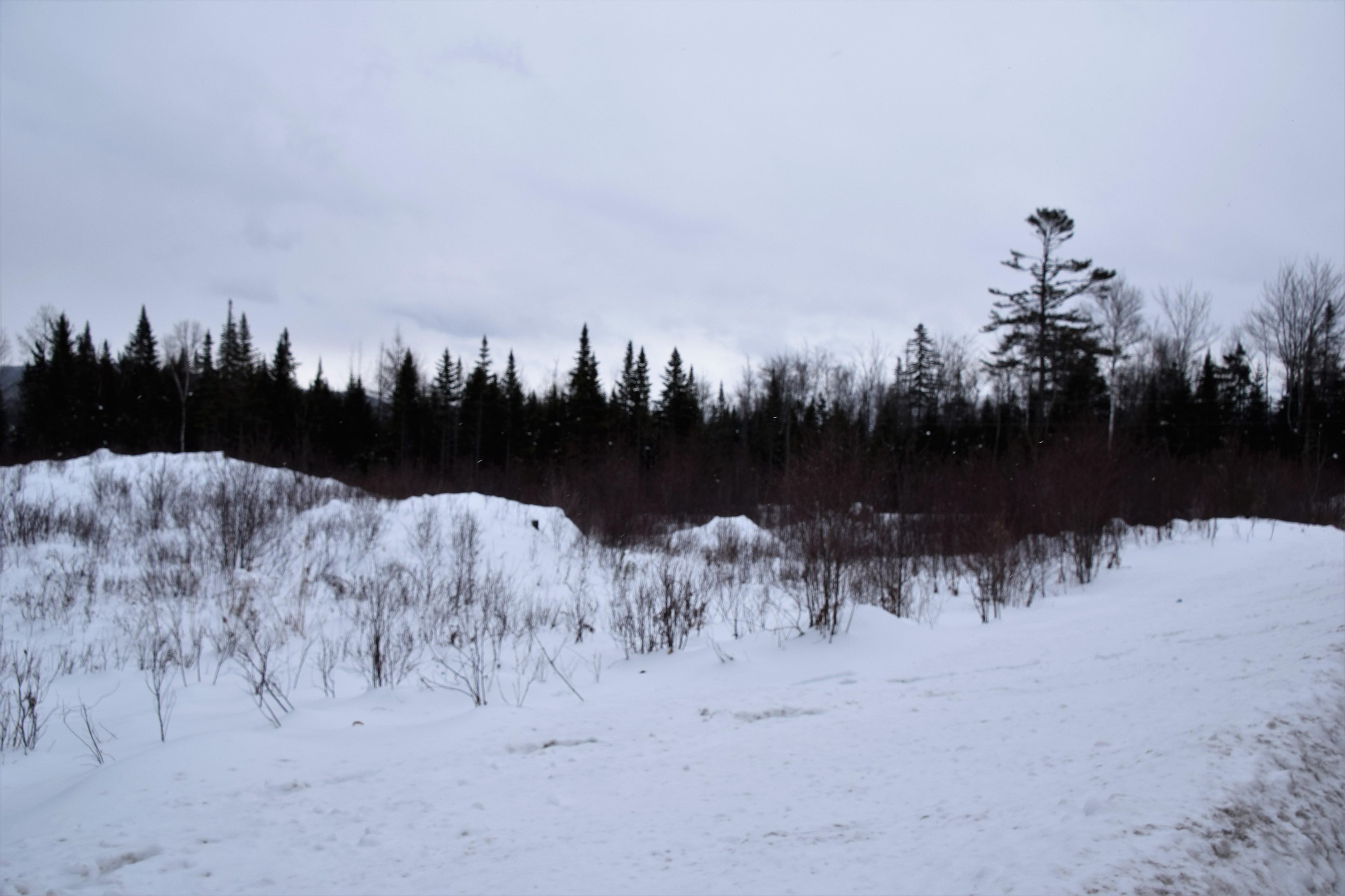 Loon Road, Unit 7 Berlin, NH 03570 - Photo 7 of 14