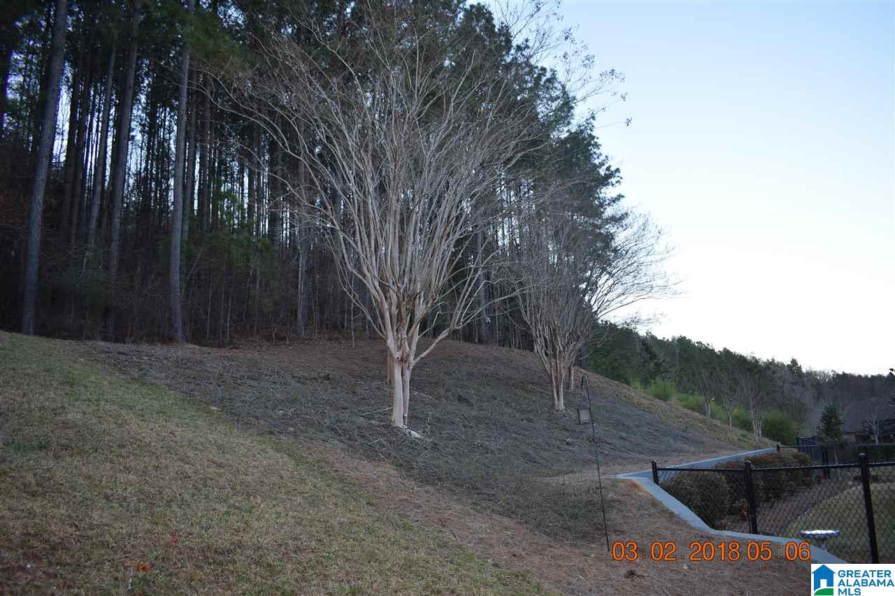 1336 Caliston Way Pelham, AL 35124 - Photo 43 of 47