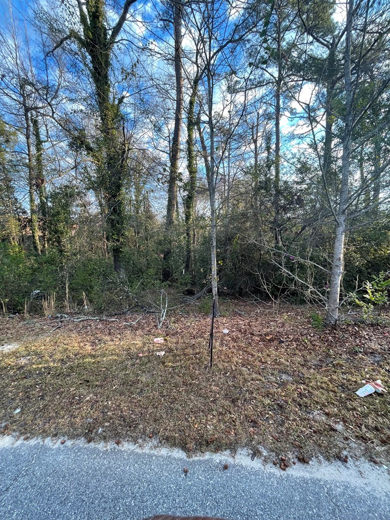 2458-2464 Martha's Loop Columbus, GA 31907 - Photo 3 of 3