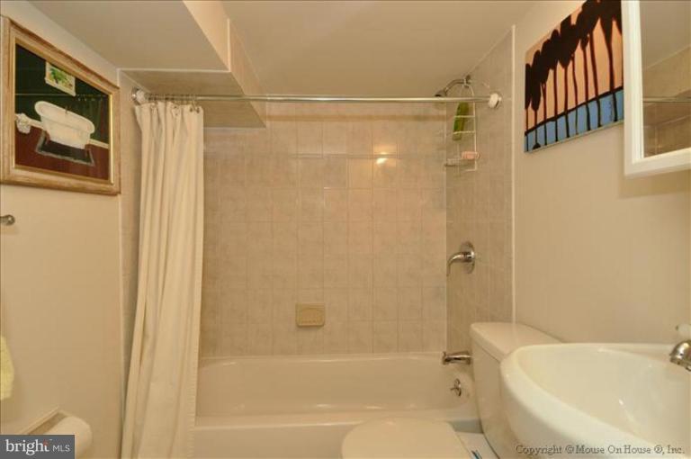 10004 Raynor Road Silver Spring, MD 20901 - Photo 23 of 29 Lower level bathroom