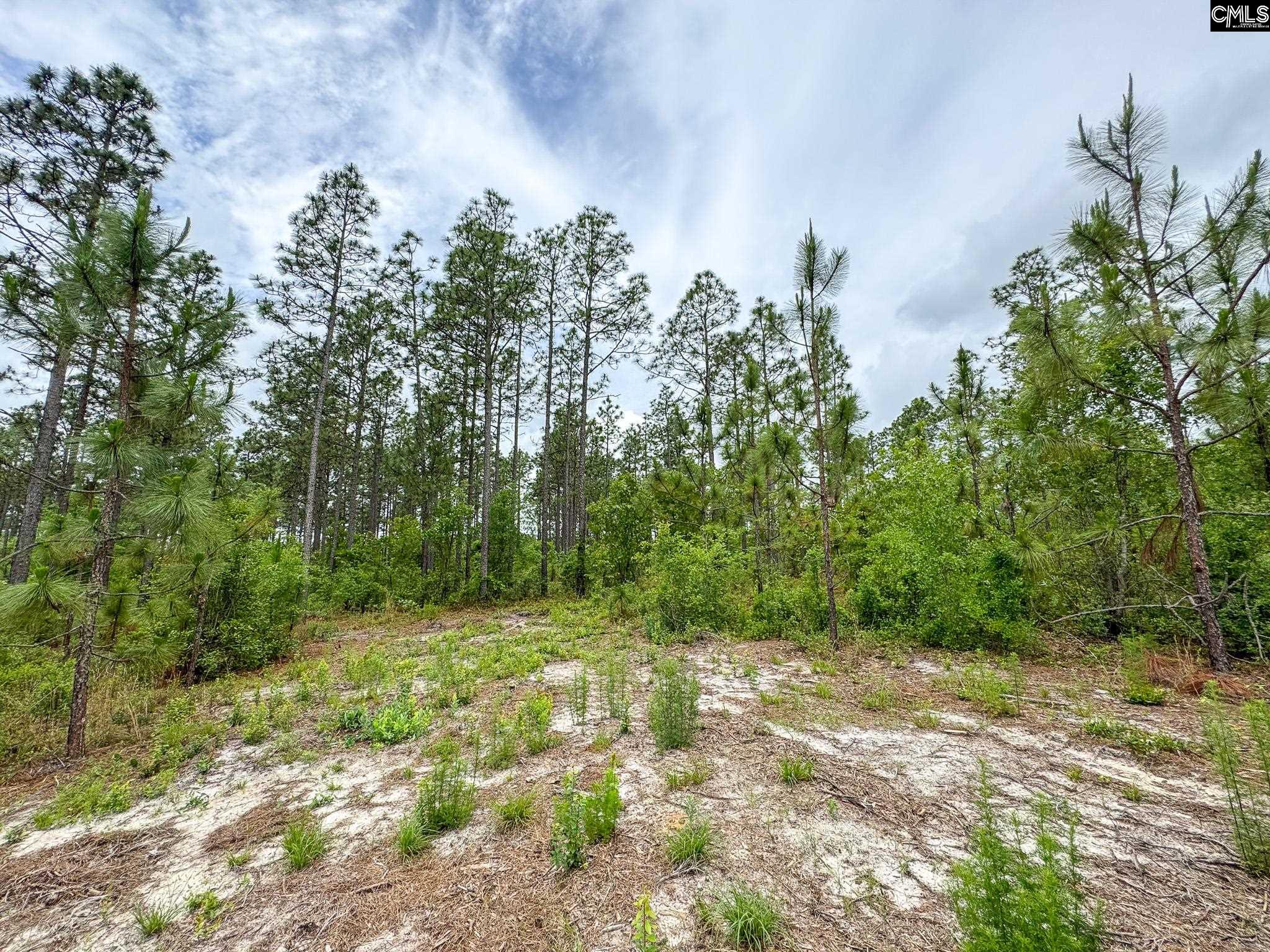 0 Neely Wingard Road, Unit LOT 10 Leesville, SC 29070 - Photo 4 of 7