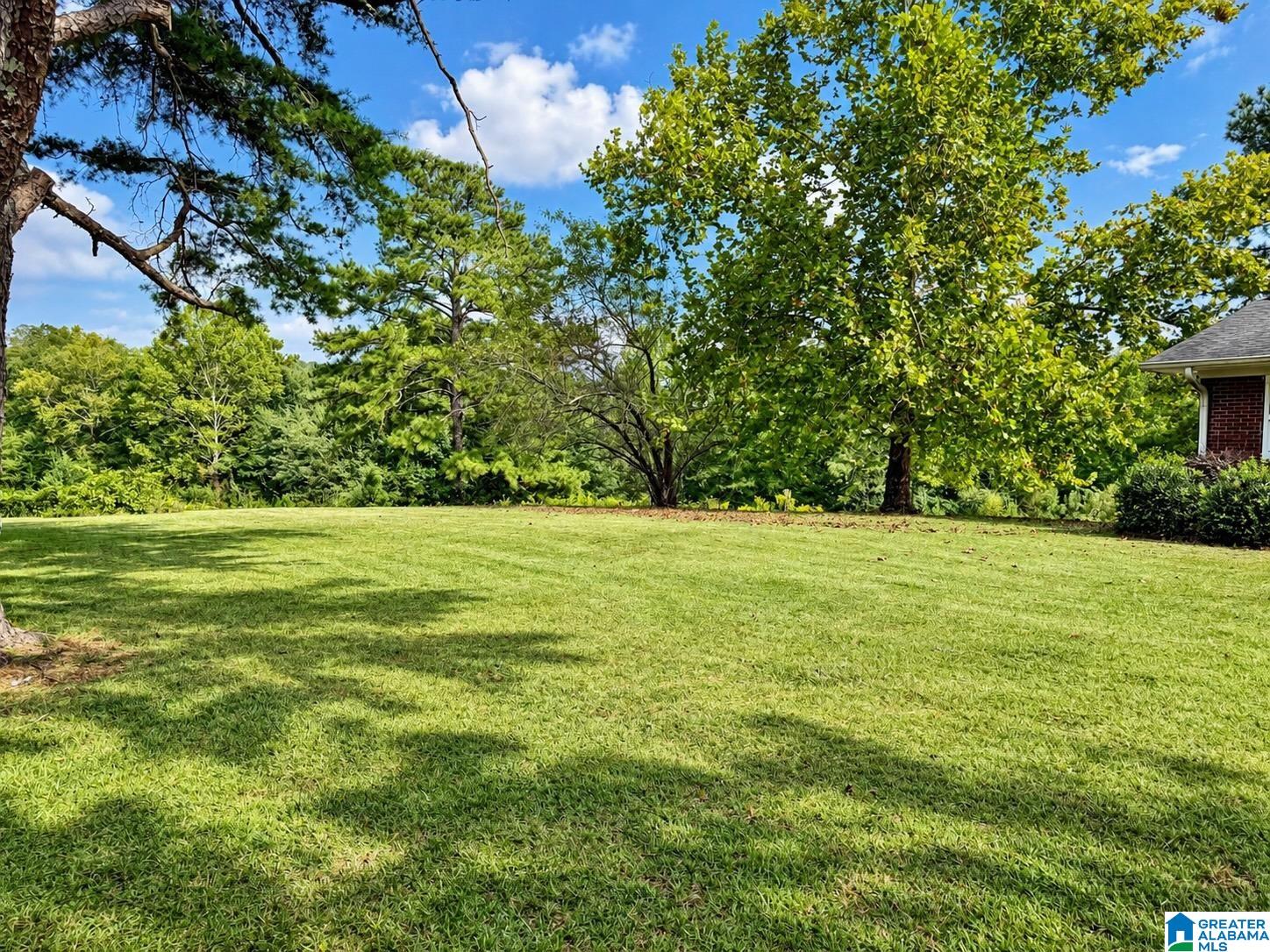 554 Chappell Road Piedmont, AL 36272 - Photo 68 of 72 Gallery Image 68