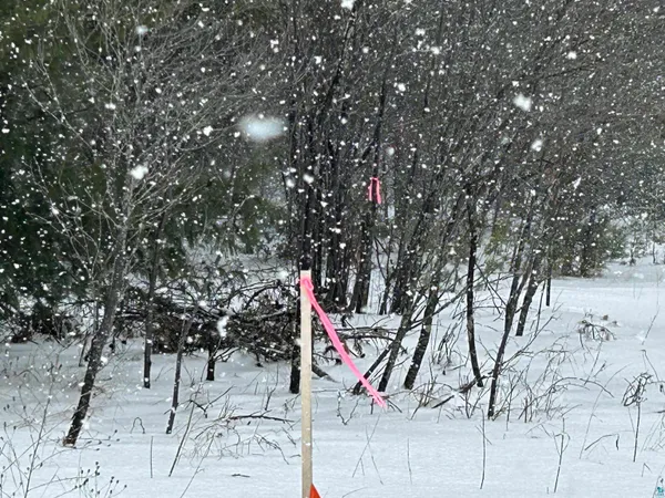 $39,900 | Lot 3 North Shore Drive, Iron River, WI 54847