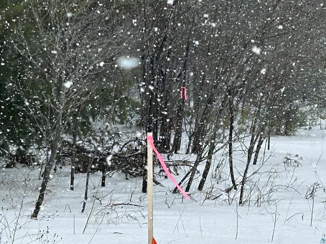 $39,900 | Lot 3 North Shore Drive, Iron River, WI 54847