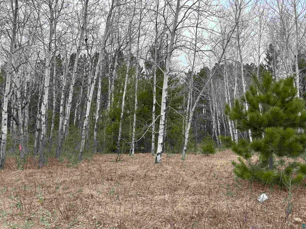 $39,900 | Lot 3 North Shore Drive, Iron River, WI 54847